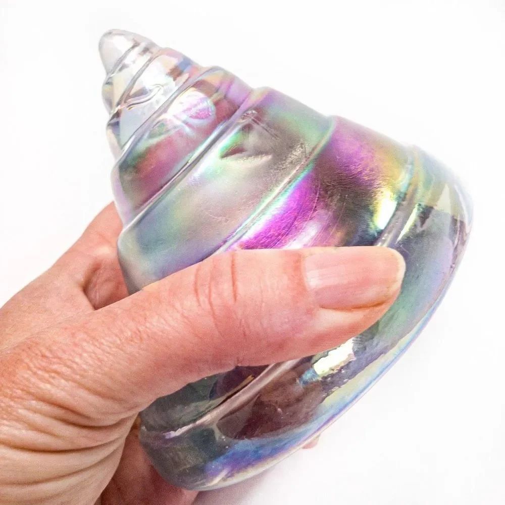 VTG Sylvestri Large Crystal Nautilus Shell Paperweight